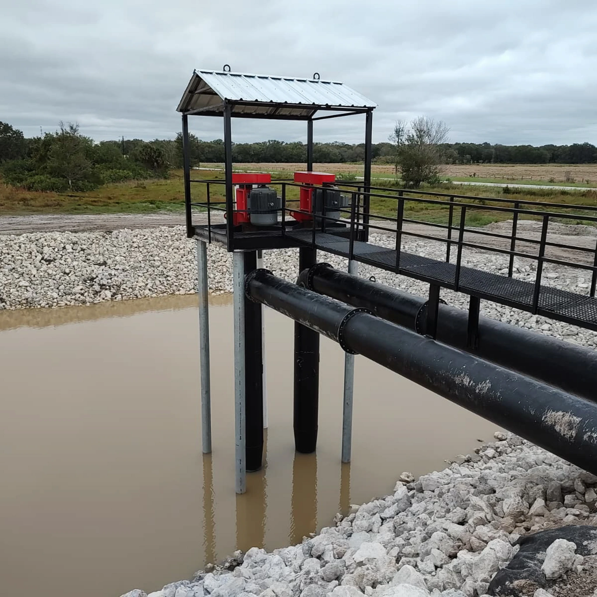 two axial flow pumps 